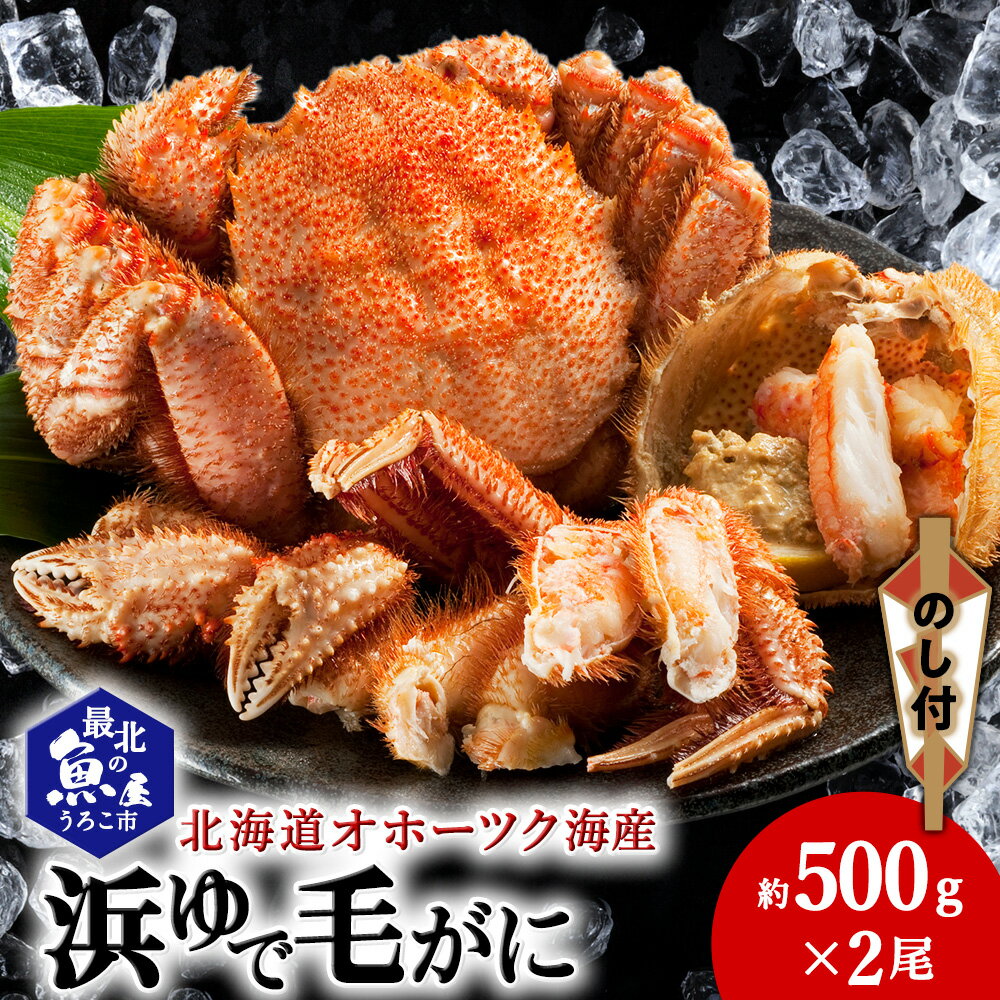 【ふるさと納税】【のし付き】北海道オホーツク海産 浜ゆで毛がに 約500g×2尾ボイル 毛がに 毛ガニ 毛蟹 ボイル 蟹 カニ 北海道ふるさと納税 稚内 ふるさと納税 北海道 【配送不可地域：離島】