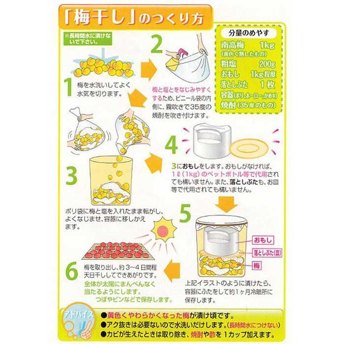 【梅干・梅酒用】（LまたはM－10Kg）熟南高梅＜2025年6月上旬～7月7日発送予定＞フルーツ 果物 くだもの 食品 人気 おすすめ 送料無料【ART08】　XL09_イメージ4