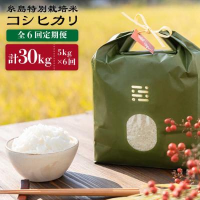 ふるさと納税 糸島市 【全6回定期便】糸島特別栽培米5kgコシヒカリitoshimacco[ARJ006]