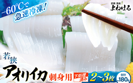≪-60℃で急速冷凍≫若狭アオリイカ 刺身用2～3枚（合計180g）下処理済みだからシンクも汚れず大好評！【福井 地物 海鮮 刺身 あおりいか イカ丼 海鮮丼 魚介】[m17-a073]