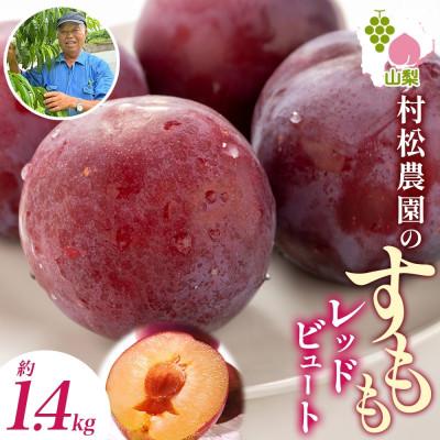 ふるさと納税 笛吹市 【2026年先行予約】農園直送!すもも「レッドビュート」6P 約1.4kg 村松農園 山梨県笛吹市