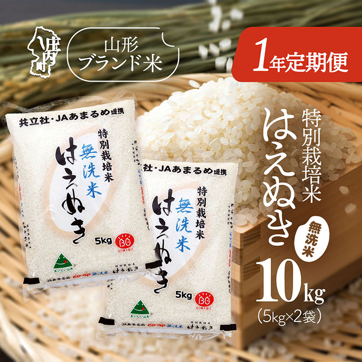 ＜11月中旬開始＞庄内米1年定期便！特別栽培米はえぬき無洗米 10kg（入金期限：2025.10.25）