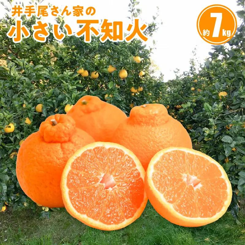 S086-004A_井手尾さん家の小さい不知火 約7kg 　家庭用〈先行予約〉