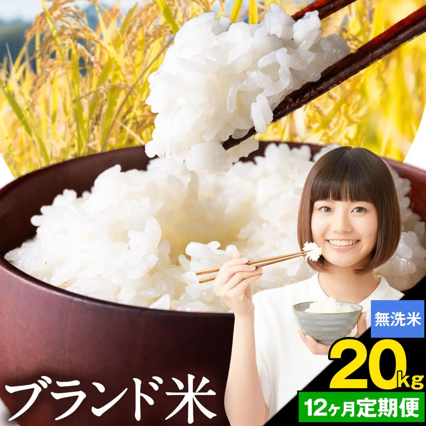 【12ヶ月定期便】米 南関町 単一原料米 (ひのひかりorにこまるorくまさんの輝き)  無洗米 20kg《お申込み翌月から出荷》熊本県産 国産 無洗米 こめ コメ 20キロ