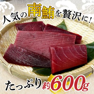 ふるさと納税 焼津市 訳あり 天然 南鮪 赤身 約600g(a10-858) |  | 02