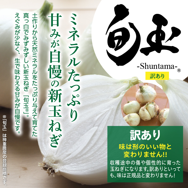 (2026年発送)訳あり 新玉ねぎ 定期便 5kg×4回　生がおいしい 神重農産のブランド玉ねぎ「旬玉」　H105-129