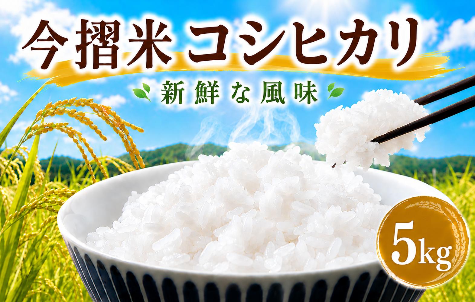 
                  今摺米 特別栽培米 コシヒカリ 5kg 令和7年産 JA ブランド米 米 お米 米5kg 精米 いまずりまい ごはん こめ おむすび おにぎり 弁当 おかず 色彩選別 鮮度 雪解け水 贈答 ギフト 国産 新潟 新発田 JA北新潟 こったま～や JA013														
                