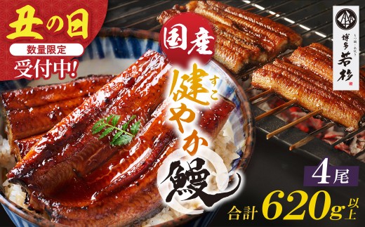 W61-172R01 【2026年 丑の日 先行予約】健やか鰻 国産うなぎ蒲焼（無頭）4尾（計620g以上） 九州産 国産鰻 うなぎ ウナギ 鰻 人気 おすすめ ひつまぶし 鰻 蒲焼き タレ 山椒 ランキング 鰻 冷凍 うな重 ひつまぶし うなぎ 福智町 鰻蒲焼き うな丼 丑の日 先行 ★レビューキャンペーン開催★