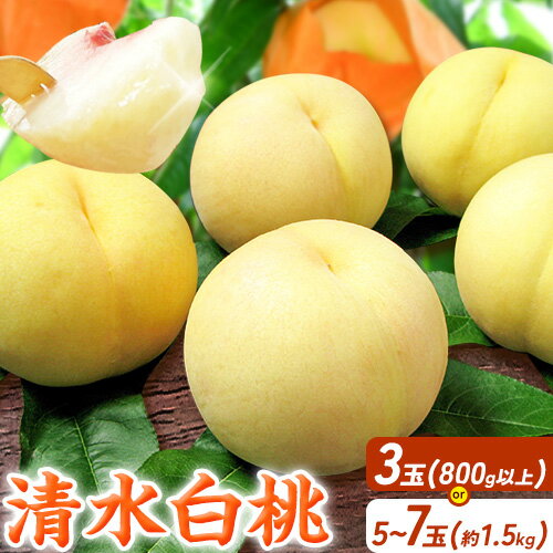【ふるさと納税】【2026年先行予約】桃 もも 清水白桃 3玉 800g以上 5〜7玉 約1.5kg 岡山県産 環山堂株式会社【配送不可地域あり】《2026年7月中旬-7月下旬頃出荷》岡山県 浅口市 白桃 果物 フルーツ 送料無料