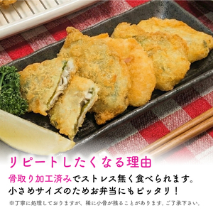 骨取り 国産 梅しそアジフライ 1kg( 200g×5p ) 冷凍 アジフライ