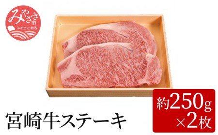宮崎牛ステーキ(約250g×2枚)　肉 牛 牛肉