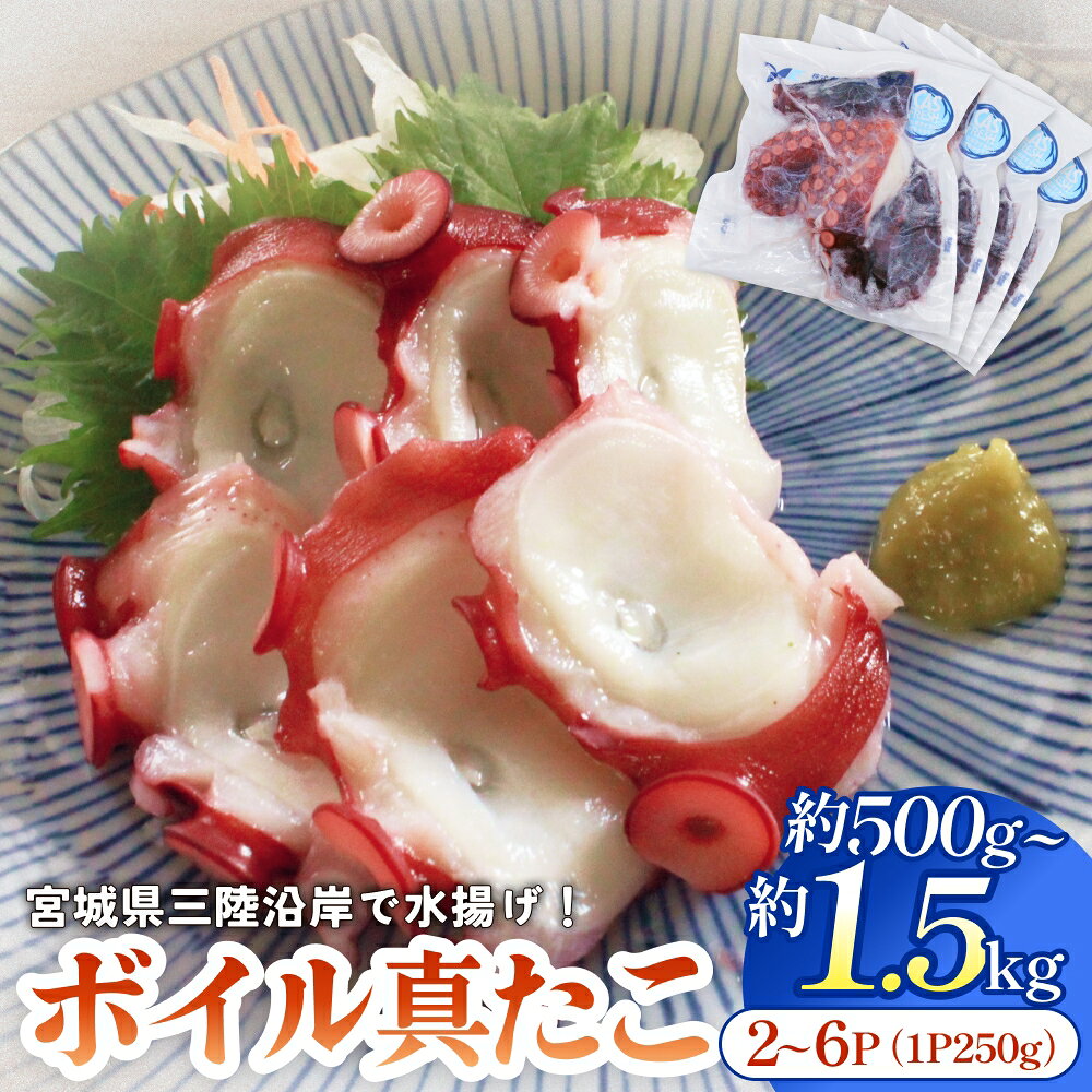 【ふるさと納税】《内容量が選べる》真たこ ボイル 約500g / 約1kg / 約1.5kg (1袋250g) 蛸 たこ タコ ボイル済み 冷凍 小分け CAS凍結 海鮮 魚介類 宮城県 宮城 石巻市 石巻