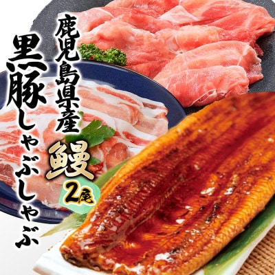 鹿児島W名物!鰻360g(180g×2尾)×黒豚しゃぶしゃぶ用(ロース/赤身)各180g　B4-7【配送不可地域：離島】