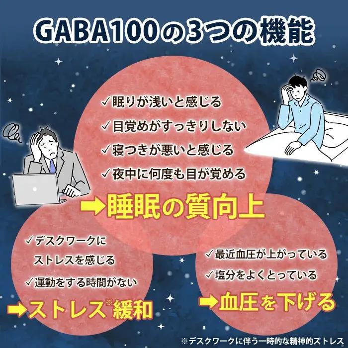 No.1286-B ＜定期便・全6回(隔月)＞GABA100(1袋 62粒入・2袋×6回 計12袋) 鹿児島 日置市 健康食品 機能性表示食品 サプリ 栄養バランス 食生活 安心安全 デスクワーク ス