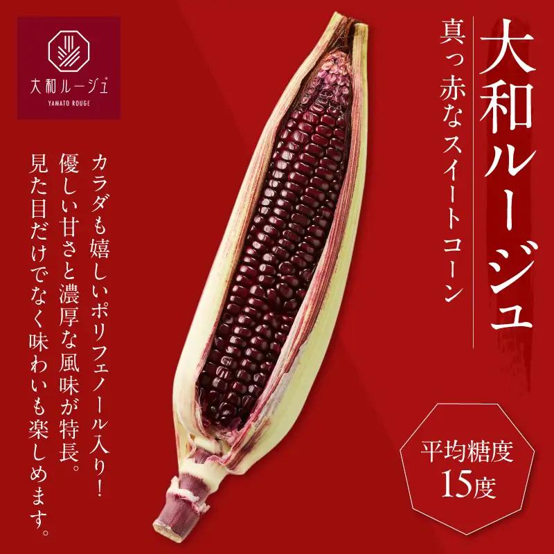 先行予約≪期間限定≫大和ルージュ＆そのでこセット(合計1.5kg以上) 野菜 加工品 国産_T003-0145