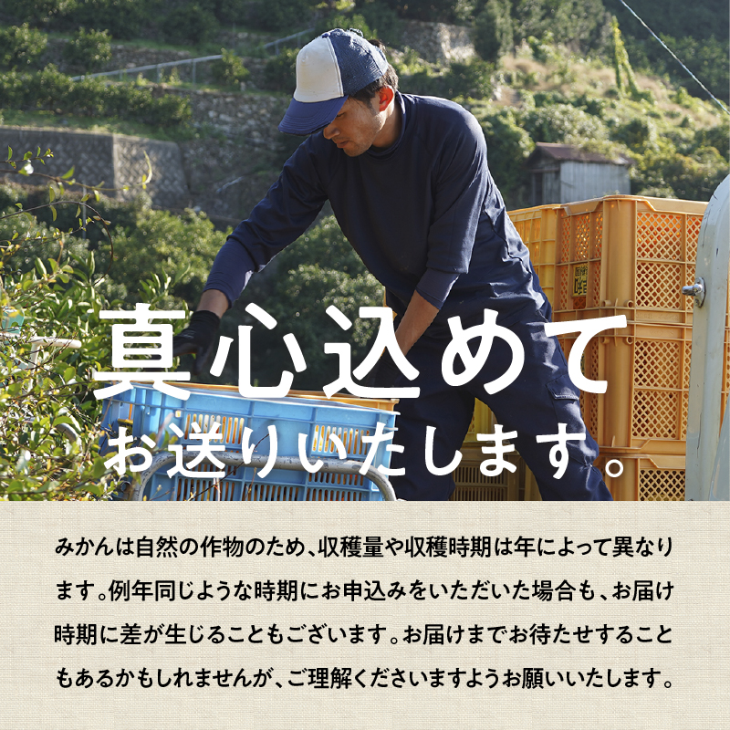 有田みかん「未来への虹」10kg(A2-2)