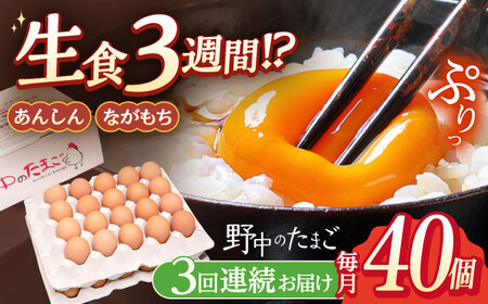 【3回定期便】産みたて新鮮卵 野中のたまご  40個×3回 計120個【野中鶏卵】 [OAC004] / 卵 長持ち 濃厚 玉子 濃厚 卵料理 タマゴ 鶏卵 オムレツ 卵かけご飯 卵焼き 