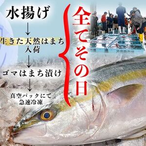 岬だより 調理不要 天然 はまちのごま漬け　6袋セット [配送不可地域：離島]