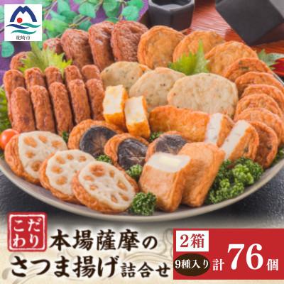 ふるさと納税 枕崎市 鹿児島 松野下蒲鉾 さつま揚げ詰合せ　2セット分 B3-113