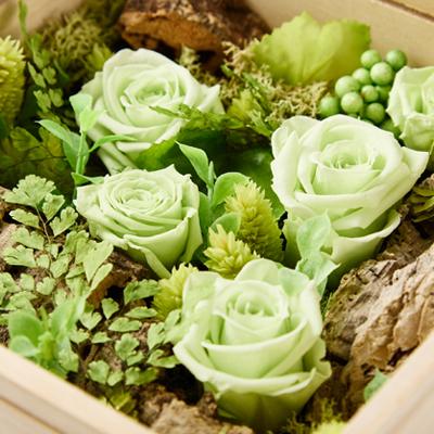 ふるさと納税 日出町 プリザーブドフラワー緑 |  | 01