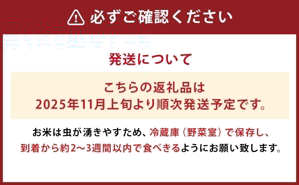 令和7年産 益城町 精米 森のくまさん 5kg