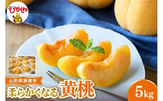 【2026年産 先行受付】 東根市産黄桃　秀品 柔らかくなる桃  約5kg ベジフルひがしね 山形県 東根市 hi104-012