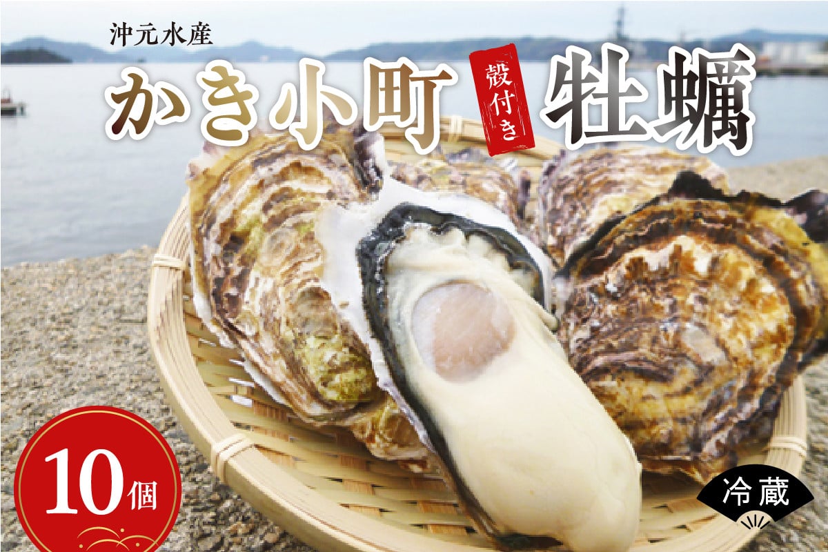 
            【先行受付】【2026年1月中旬より発送】沖元水産 かき小町 殻付き 牡蠣 10個 牡蠣ナイフ、レシピ付 ku009-002-25
          