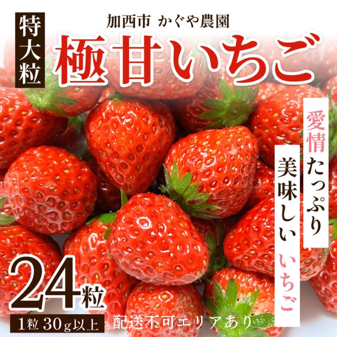 
かぐや農園の極甘 いちご 特大粒 24粒
