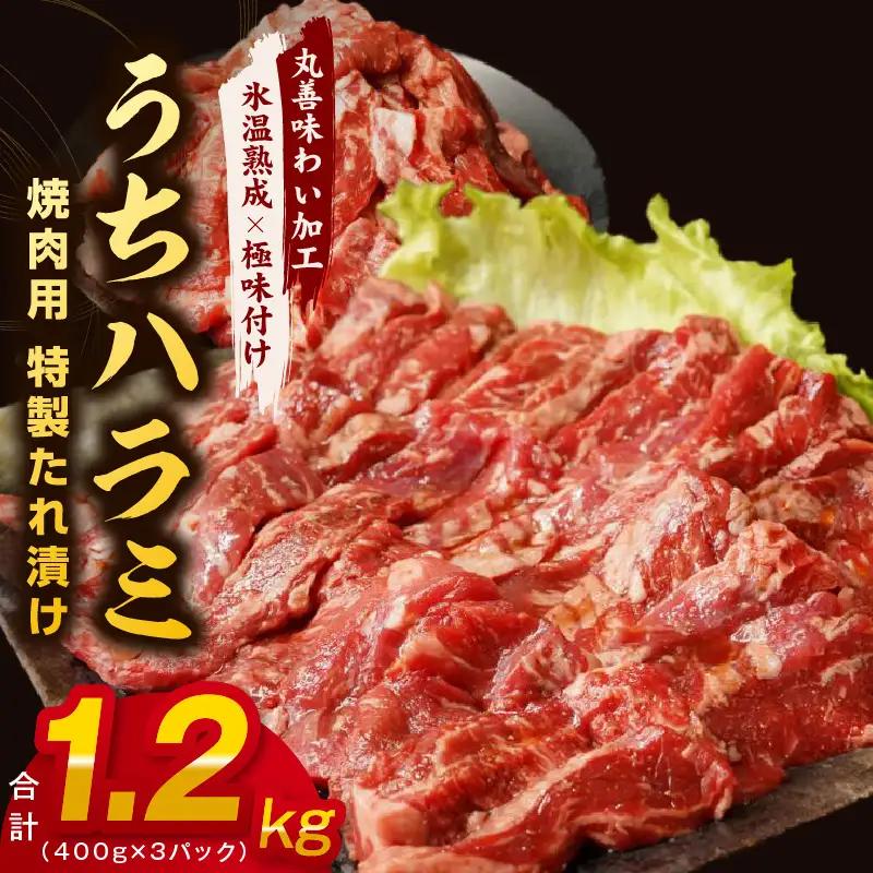 【希少部位】牛肉 うちハラミ 1.2kg 小分け 400g×3P 牛肉 焼肉 BBQ