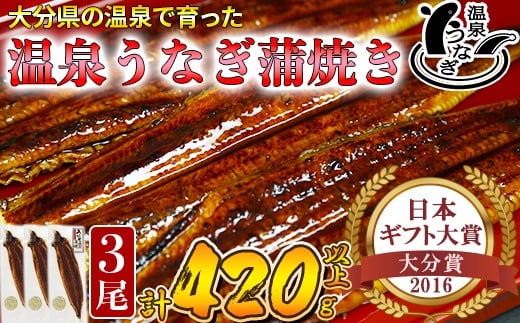 
温泉うなぎ蒲焼 3尾（140gサイズ） 国産うなぎ 人気 国産 蒲焼 蒲焼き かば焼き 鰻屋 個包装 冷凍 真空 ＜104-008_5＞
