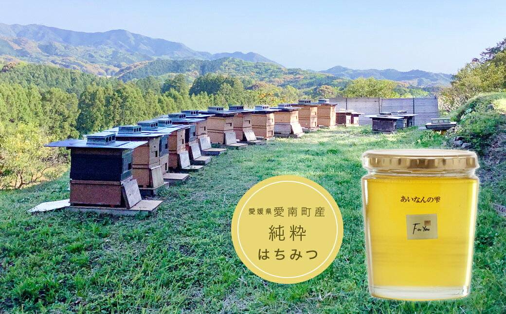 【ふるさと納税】 国産 天然 里山 はちみつ 蜂蜜 450g あいなんの雫 純粋 朝しぼり 濃厚 熟成 贈答 ギフト 瓶 愛南町産 高品質