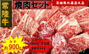 【ふるさと納税】【常陸牛】焼肉セット 約900g（茨城県共通返礼品）【 常陸牛 茨城県 日立市 】