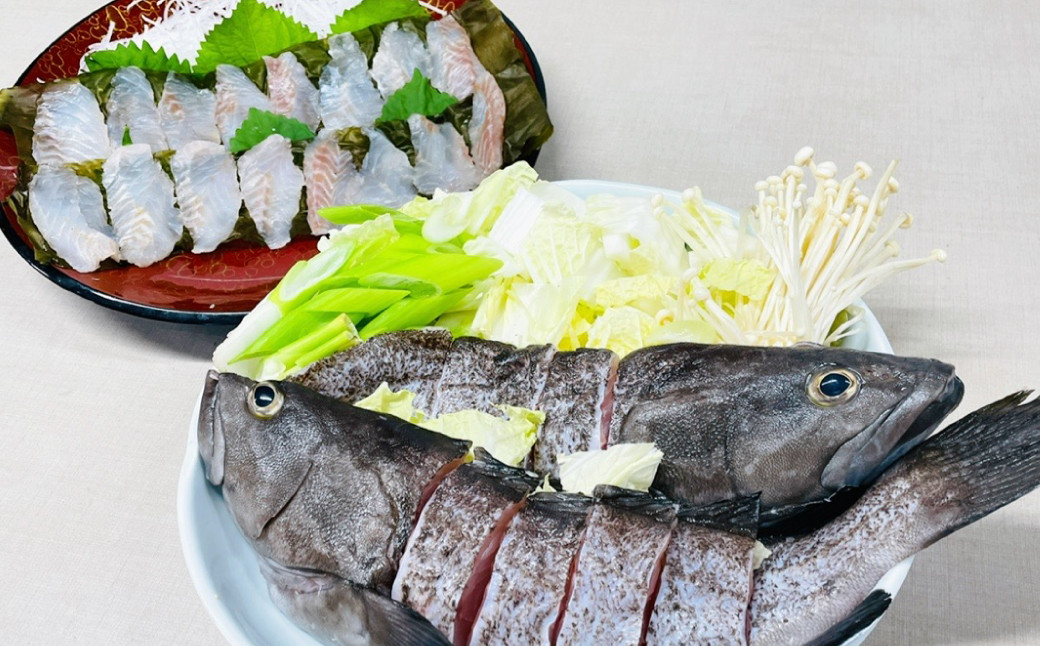
            長崎の森で育てた『幻のクエ』 【セット】昆布〆 刺身用 5～6人前、鍋用 5～6人前 (1kg～2kg前後×2) ／ 海鮮 魚介 高級魚 刺身 刺し身 鍋 お鍋 セット クエ 養殖 長崎県 長崎市
          