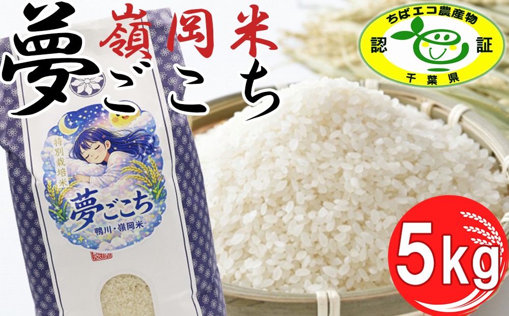 
                  【令和8年産】嶺南ファームの嶺岡米「夢ごこち」 5kg[0018-0029]
                