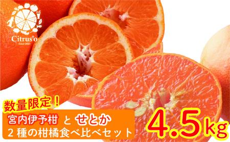【2026年2月上旬から発送】宮内伊予柑 せとか 2種の柑橘食べ比べセット 4.5kg セトカ いよかん 【PC0151】