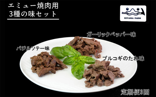 【3か月定期便】エミュー焼肉用3種の味セット【エミュー 基山産 高タンパク 高鉄分 低カロリー ヘルシー ジビエ 貴重肉 鉄分補給】K006315