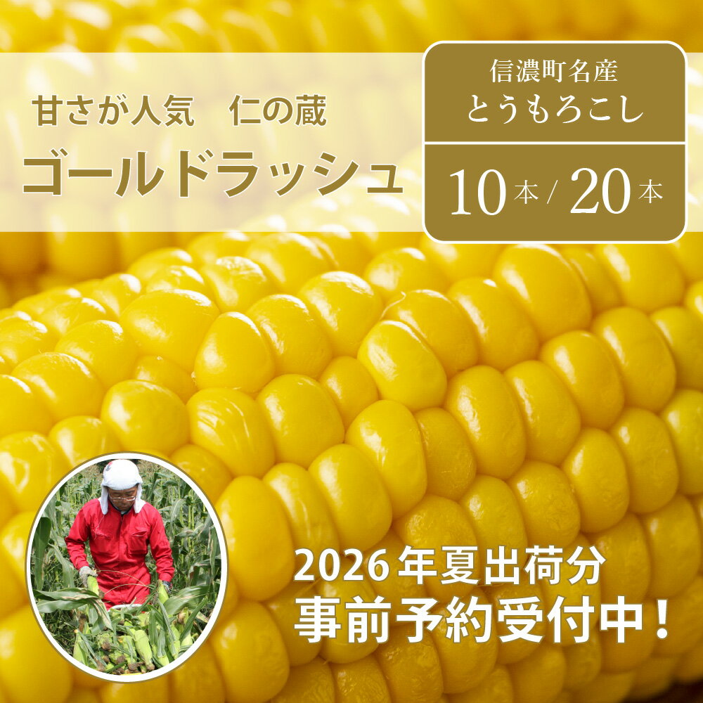 【ふるさと納税】 仁の蔵『ゴールドラッシュ 10本』【2026年夏の予約受付開始！】7月下旬出荷開始！長野県信濃町産とうもろこし ／スイートコーンの人気品種の予約受付中｜ 7月下旬～8月下旬随時出荷【長野県信濃町ふるさと納税】