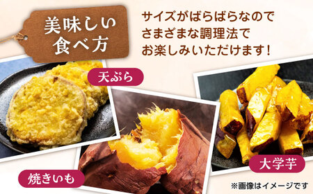 先行予約 紅はるかorシルクスイート蜜芋10kg サツマイモさつまいも国産 ZCN001