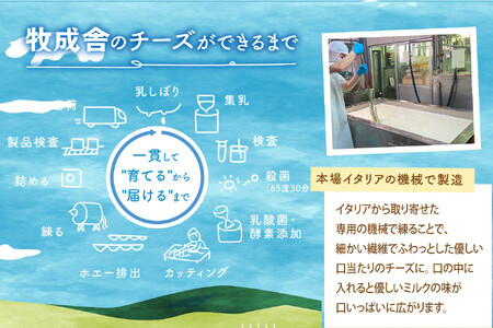 モッツァレラたっぷりマルゲリータピザ｜直径24cm×２枚｜飛騨産チーズ 冷凍ピザ｜牧成舎 DF045