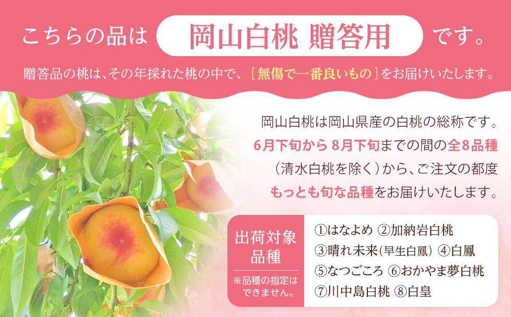 桃 2024年 先行予約 贈答用 岡山 白桃 早生、中生種 約2kg（5～7玉） もも モモ 岡山県 岡山市産 国産 フルーツ 果物 ギフト