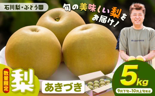 【先行予約・数量限定】梨 約5kg あきづき 石川梨・ぶどう園《9月下旬-10月上旬頃出荷》茨城県 結城市 梨 ナシ なし 果物 フルーツ あきづき【配送不可地域あり】（離島）