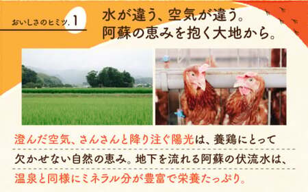 白たまごM玉卵90個(85個＋5個割れ保証)卵タマゴZCA001