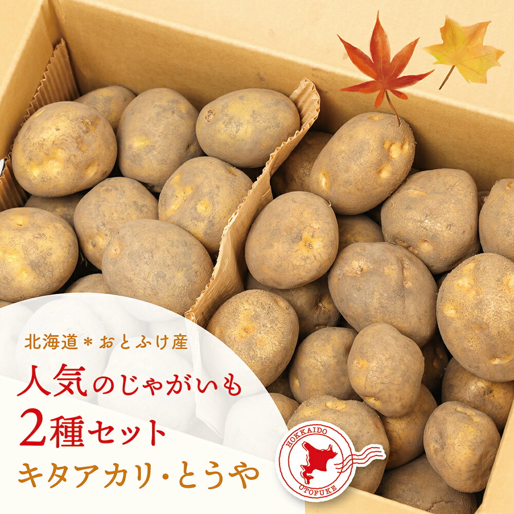 【ふるさと納税】【先行受付】北海道おとふけ産 人気のじゃがいも 2種セット「キタアカリ・とうや」各4.5kg 合計9kg 【B73】【2025年10月中旬頃より発送予定】じゃがいも ジャガイモ いも 芋 イモ おいも お芋 根菜 やさい 野菜 セット 常温 北海道 音更町 送料無料