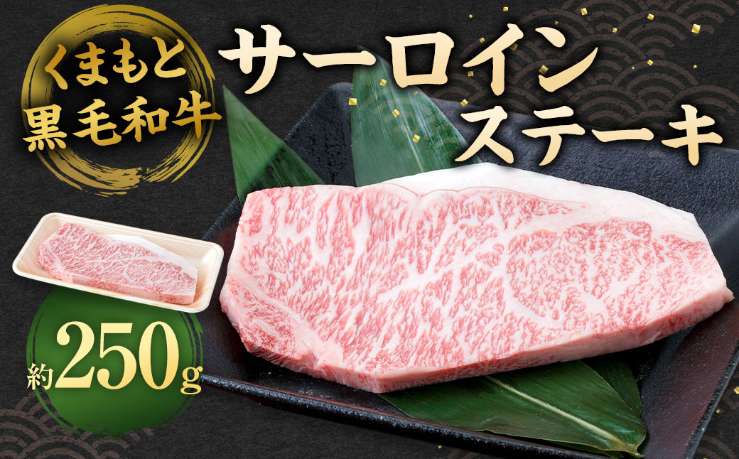 
            くまもと黒毛和牛 サーロインステーキ 250g 牛肉 お肉
          