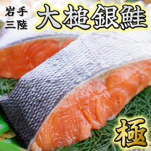 大槌銀鮭(ひと塩)切り身8切(1切れ真空包装約80g～100g)