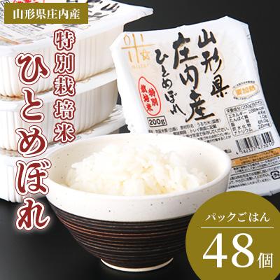 ふるさと納税 三川町 まいすたぁのひとめぼれ パックご飯 200g×48P　HM1-025