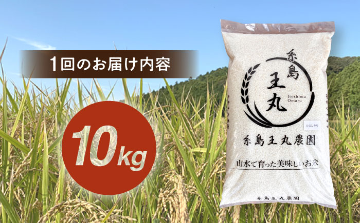 【令和8年産新米】【全6回定期便】糸島産 ヒノヒカリ 10kg×6回 糸島市 / 糸島王丸農園 ( 谷口汰一 )【いとしまごころ】 [AAZ016]