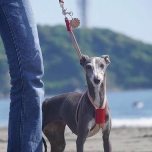 小～中型犬用スライドコントロールハーネス ベンズヌメ（ブッテーロ /ルガトショルダー） オレンジピンク