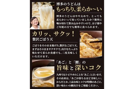 博多ごぼう天うどん 12食セット【簡易梱包でお届け】【A-794】博多 ごぼう ごぼう天 うどん