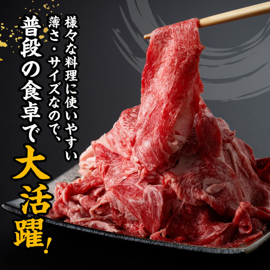 宮崎 牛切り落とし 500g【 肉 牛肉 国産 宮崎県産 黒毛和牛 和牛 】[D11418]